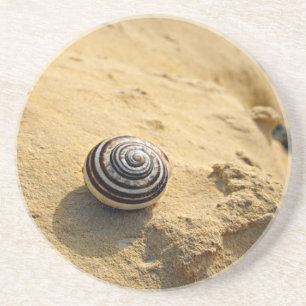 Snail Shell on Sand Coaster