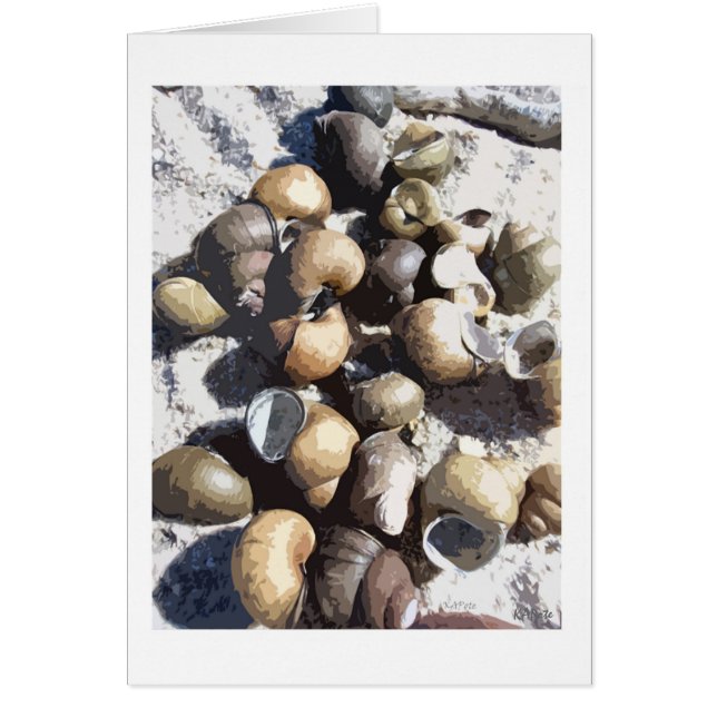 Snail Shells (Front)