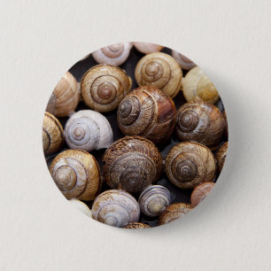 Snail Shells 6 Cm Round Badge