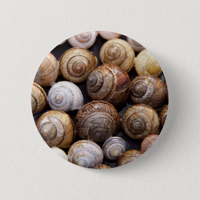 Snail Shells 6 Cm Round Badge (Front)