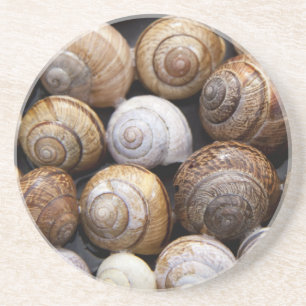 Snail Shells Coasters