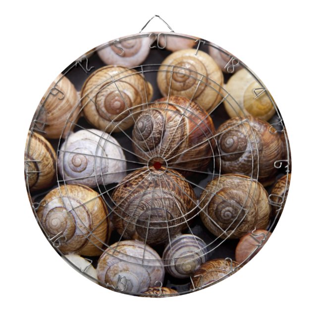 Snail Shells Dartboard (Front)