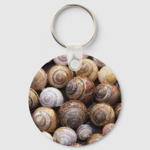 Snail Shells Key Ring