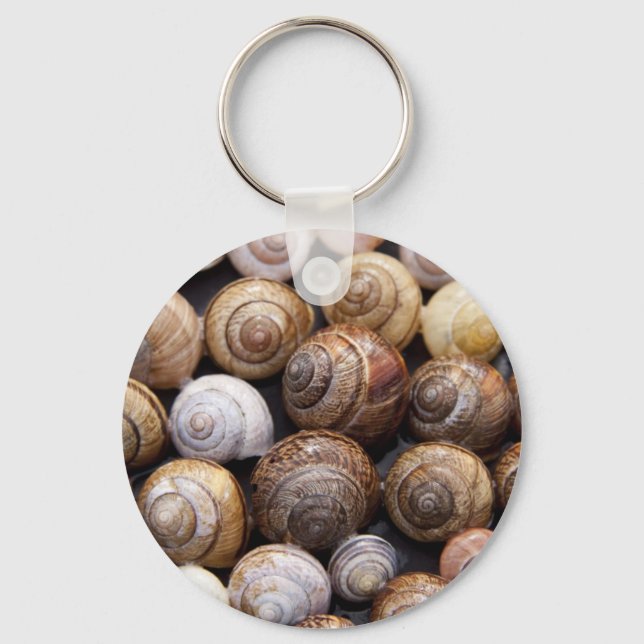 Snail Shells Key Ring (Front)