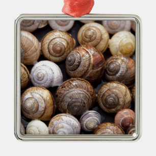 Snail Shells Metal Tree Decoration