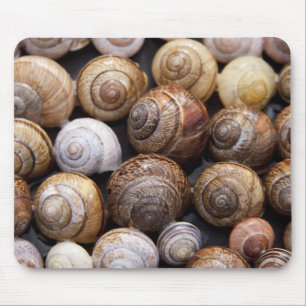 Snail Shells Mouse Mat