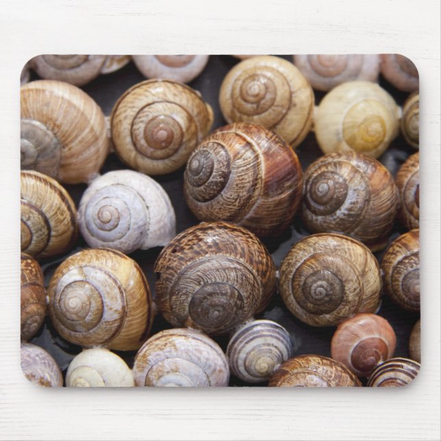 Snail Shells Mouse Mat (Front)