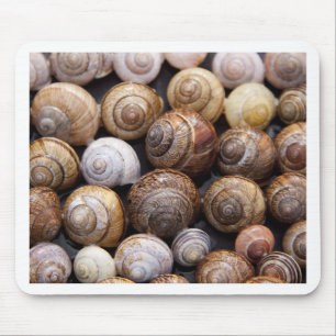 Snail Shells Mouse Mat