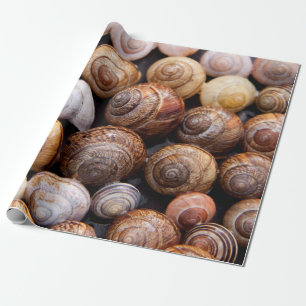 Snail shells wrapping paper