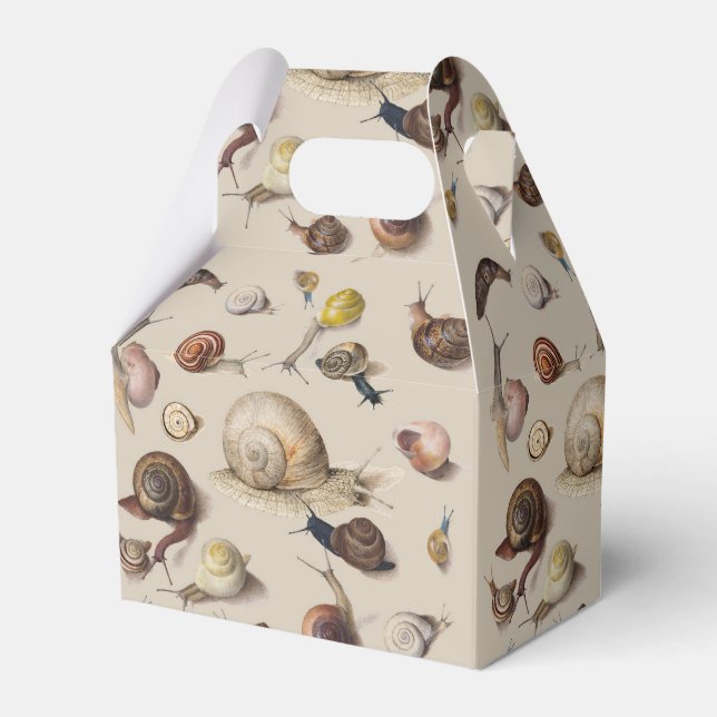 Snail Slug Garden Pet Gastropod Botanical Snails Favour Box (Front Side)