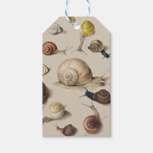 Snail Slug Garden Pet Gastropod Botanical Snails Gift Tags