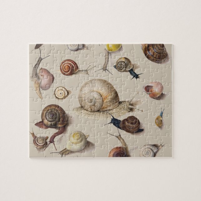 Snail Slug Garden Pet Gastropod Botanical Snails Jigsaw Puzzle (Horizontal)