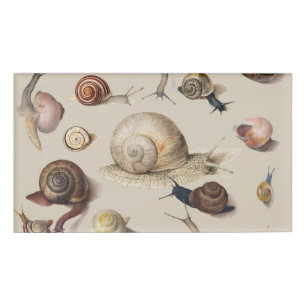 Snail Slug Garden Pet Gastropod Botanical Snails Name Tag
