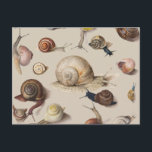 Snail Slug Garden Pet Gastropod Botanical Snails Postcard<br><div class="desc">Snails and slugs in the garden illustration by Joris Hoefnagel 1575,  this image is all about garden snails.</div>