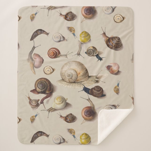 Snail Slug Garden Pet Gastropod Botanical Snails Sherpa Blanket (Front)
