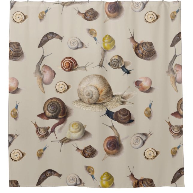 Snail Slug Garden Pet Gastropod Botanical Snails Shower Curtain (Front)