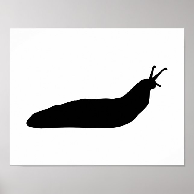 Snail slug poster (Front)
