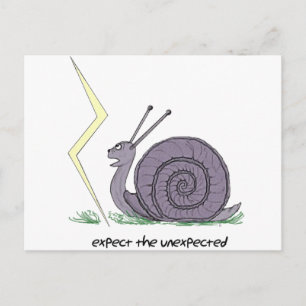 Snail Surprised Postcard