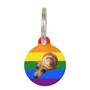 Snail tag gay