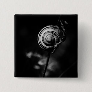 snail tail 15 cm square badge