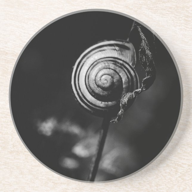 snail tail coaster (Front)