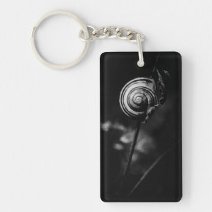 snail tail key ring