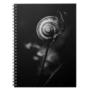 snail tail notebook