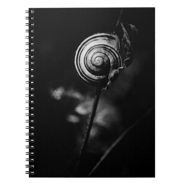 snail tail notebook (Front)