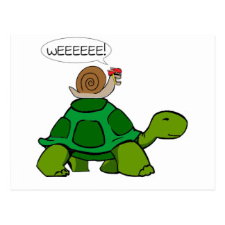 Turtle Ts T Shirts Art Posters And Other T Ideas Zazzle