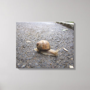 Snail walk canvas print