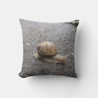 snail walk cushion