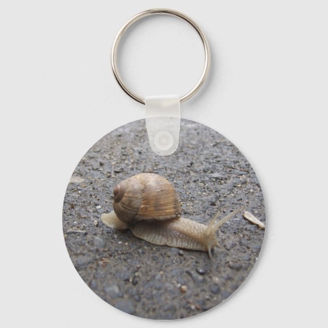 snail walk key ring (Front)