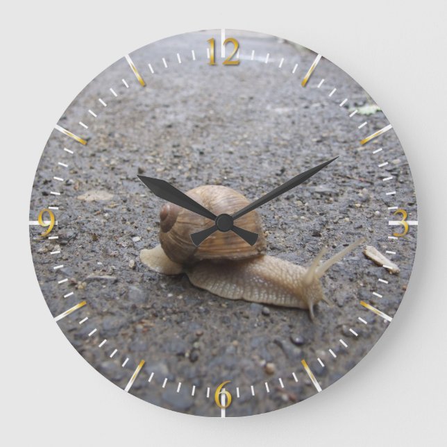 Snail Walk Large Clock (Front)