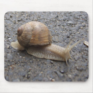 snail walk mouse mat