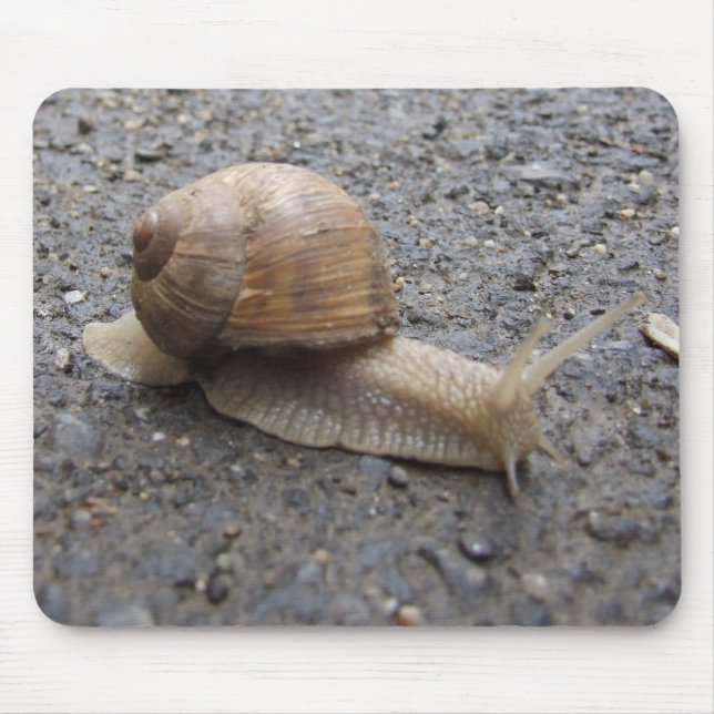 snail walk mouse mat (Front)