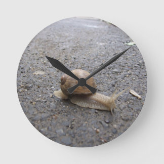 Snail walk round clock