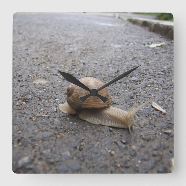 Snail Walk Square Wall Clock (Front)