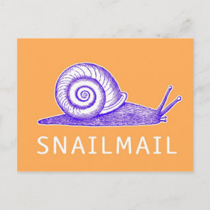 SnailMail Postcard