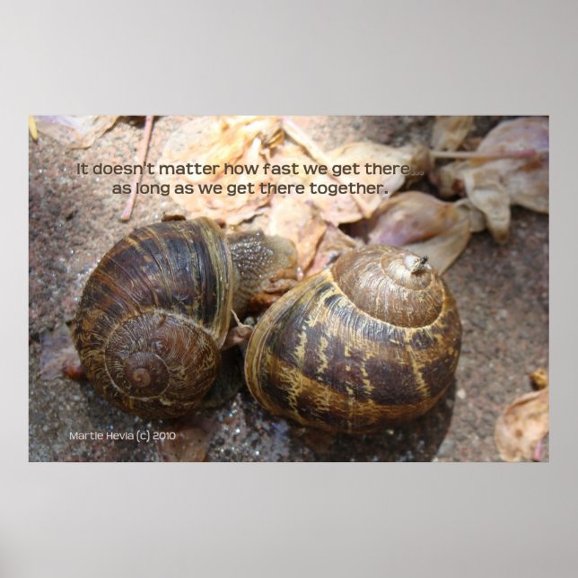 Snails in Love Poster (Front)