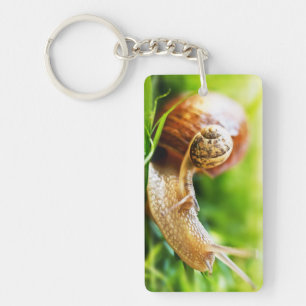 Snails Key Ring