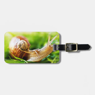Snails Luggage Tag