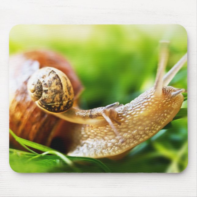 Snails Mouse Mat (Front)