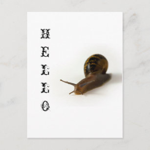 snails pace postcard