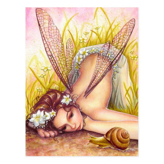 Snail's Pace Postcard