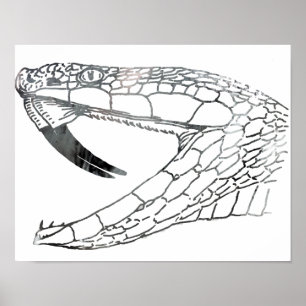 snake 6.png poster