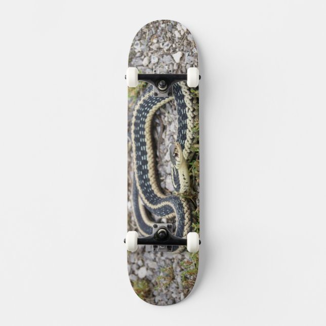 Snake 7¾" Skateboard (Front)