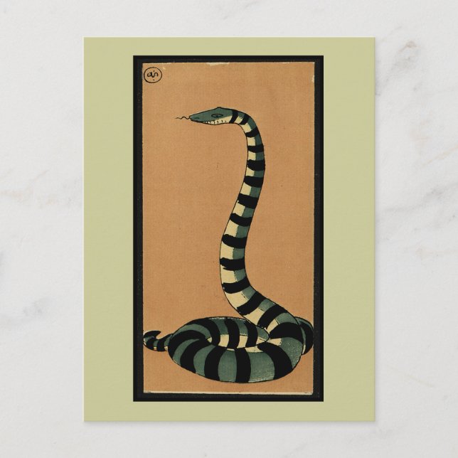 Snake - Antiquarian, Colourful Book Illustration Postcard (Front)