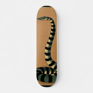 Snake - Antiquarian, Colourful Book Illustration Skateboard