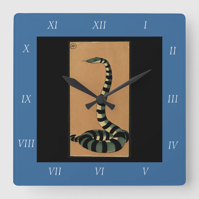 Snake - Antiquarian, Colourful Book Illustration Square Wall Clock (Front)