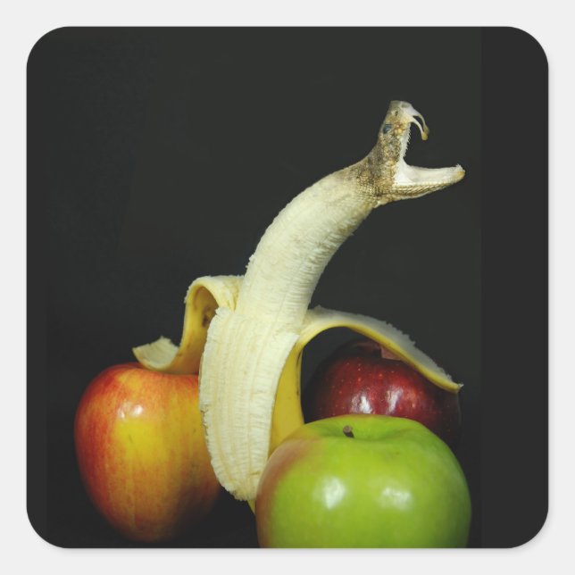 Snake Banana with Apples Square Sticker (Front)
